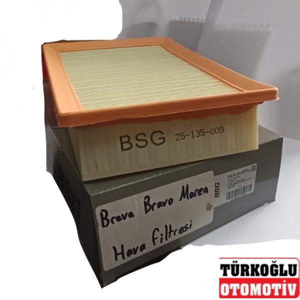 BSG 25-135-009 HAVA FİLTRESİ