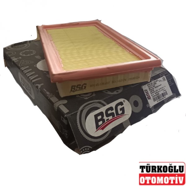 BSG 25-135-007 HAVA FİLTRESİ